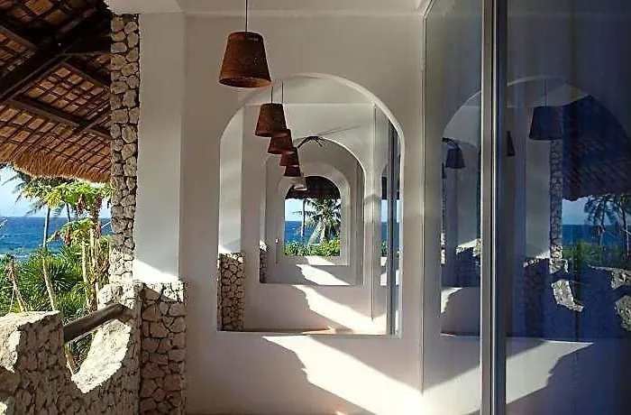 Hotel The Wild Orchid