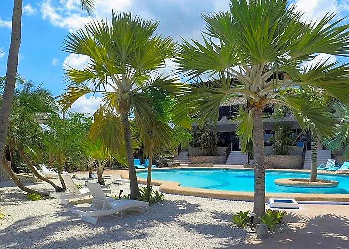 The Wild Orchid Cebu